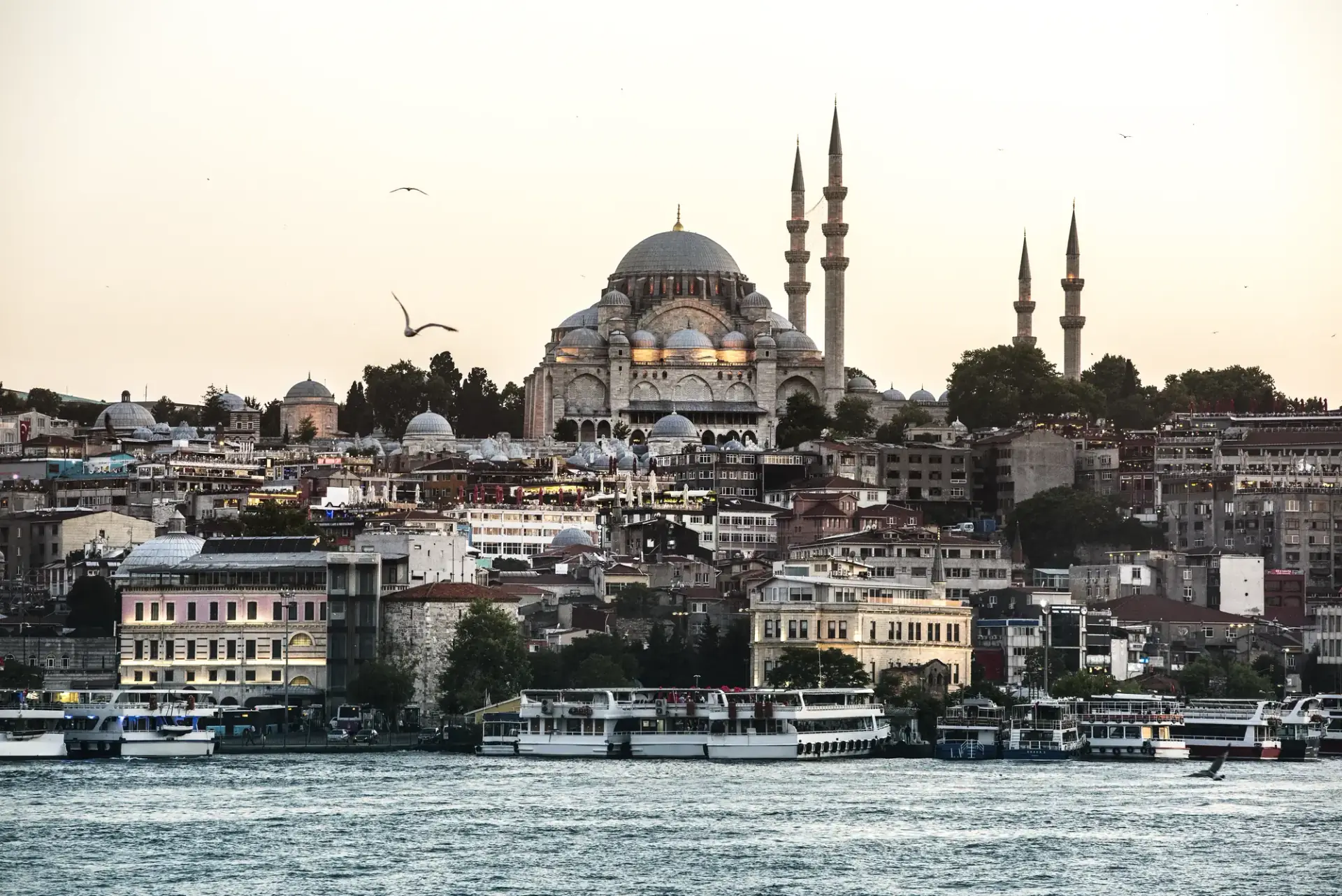 Süleymaniye Camii, Haliç manzarası — Precellence Mercedes V-Class özel şoför İstanbul'da